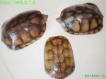 ƺˮ꣬www.350xue.com