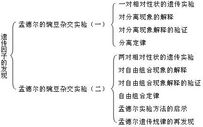高二生物遗传因子的发现教材分析