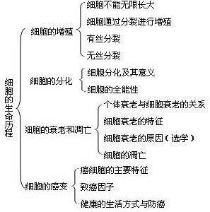 高一生物细胞的生命历程教材分析